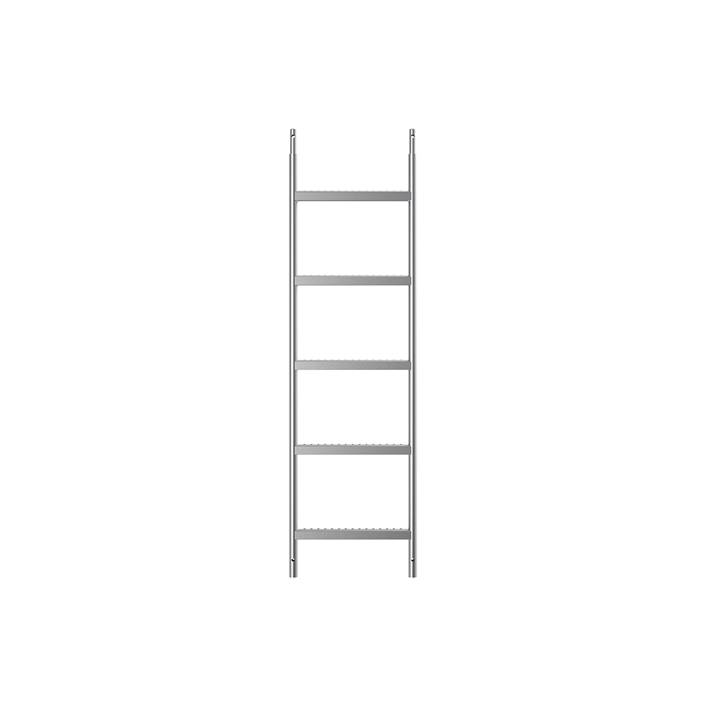 ZT1701B_5' scaffolding access systems access ladder